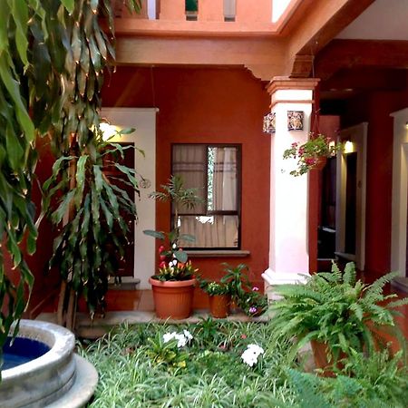 Hotel Maela Oaxaca Zewnętrze zdjęcie